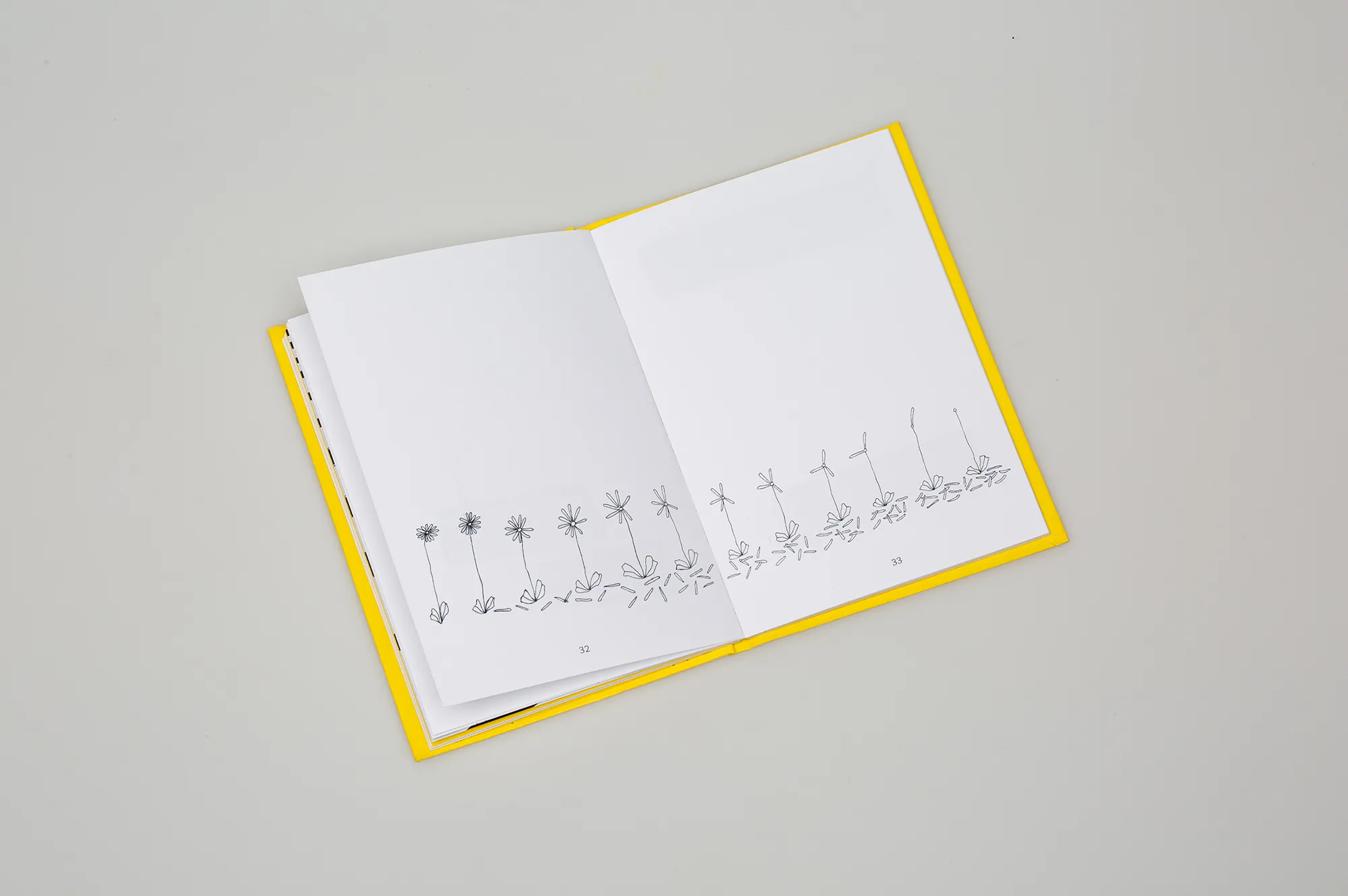 website_foto_vordiplom_02